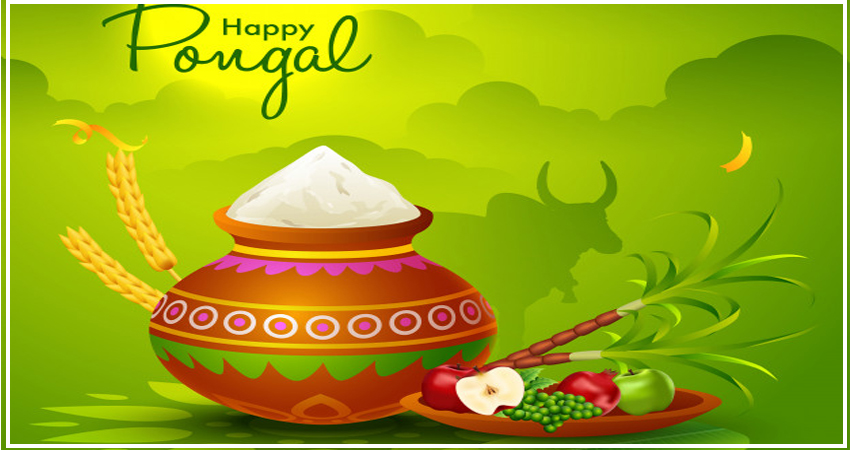 Happy Pongal Wishes Card With Photo And Name