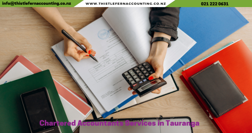 Chartered Accountants Services