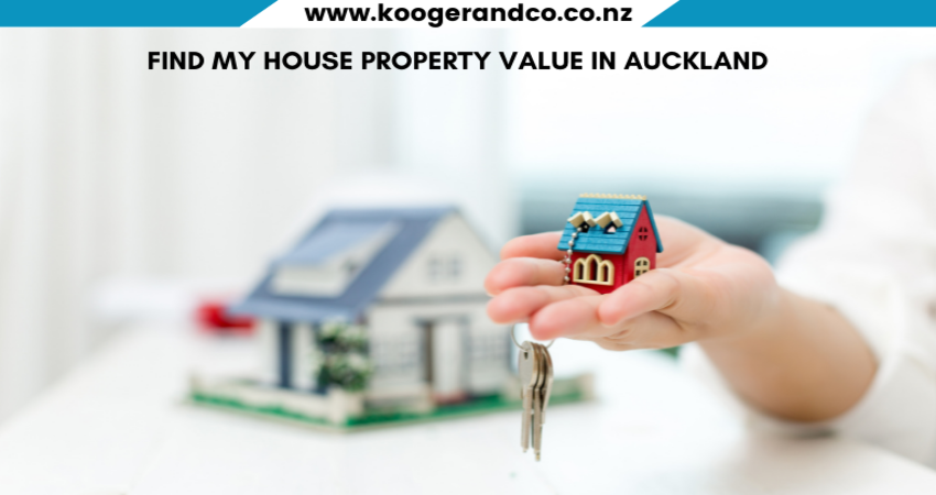 Find My House Property Value In Auckland