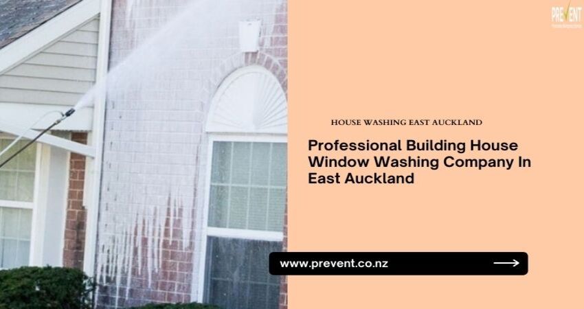 professional building house washing company in east auckland