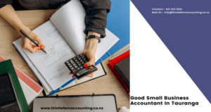 Good Small Business Accountant In Tauranga