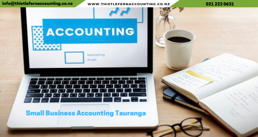 Small Business Accounting Tauranga