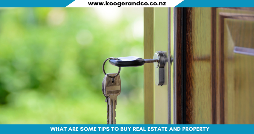 what are some tips to buy real estate and property in Auckland