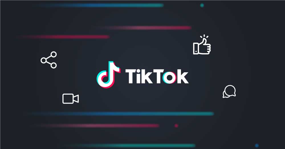 TikTok Figures