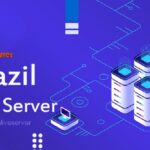 Pick Brazil Dedicated Server to Increase Your Website Performance