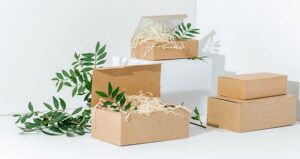 Explaining Biodegradable Packaging Materials And Their Types