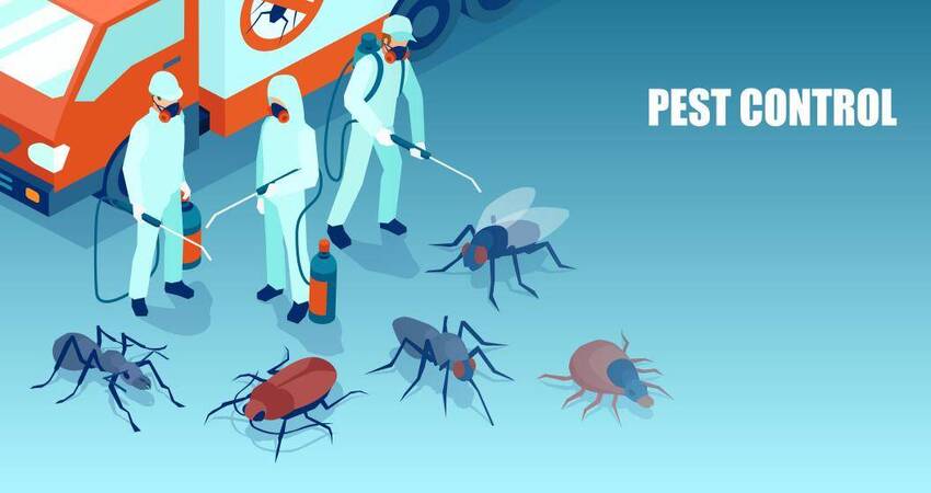 Professional Pest Control Services in Ahmedabad: A Guide to Eliminating Pests