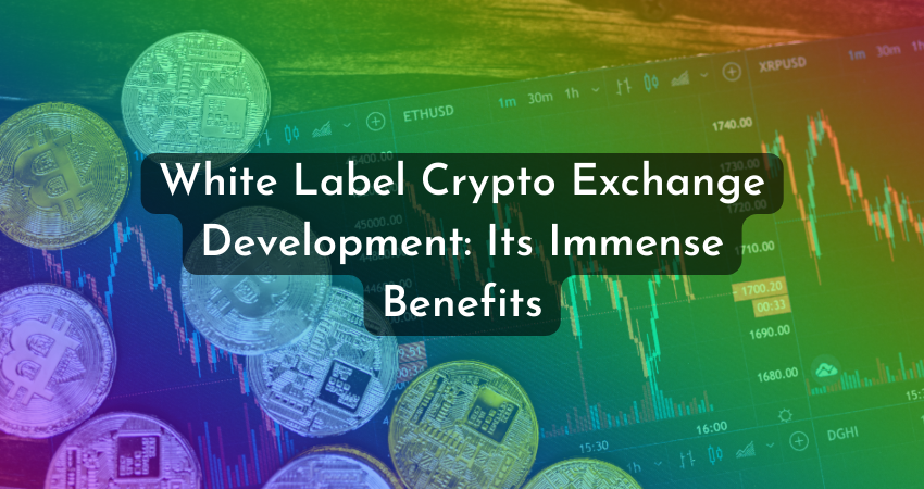 White Label Crypto Exchange Development: Its Immense Benefits