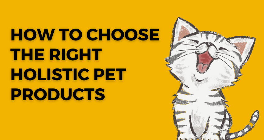 How to Choose the Right Holistic Pet Products